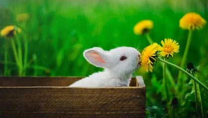 杜锋：希望小崔和小焦在广东队生活愉快 新赛季大家一起加油努力